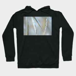 agricultural details Hoodie